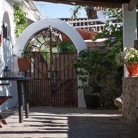 Los Anos Locos Conil De La Frontera Dış mekan fotoğraf